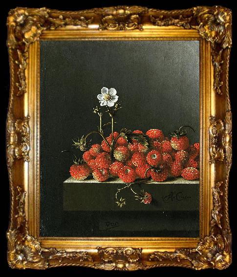 framed  Adriaen Coorte Still life with wild strawberries., ta009-2